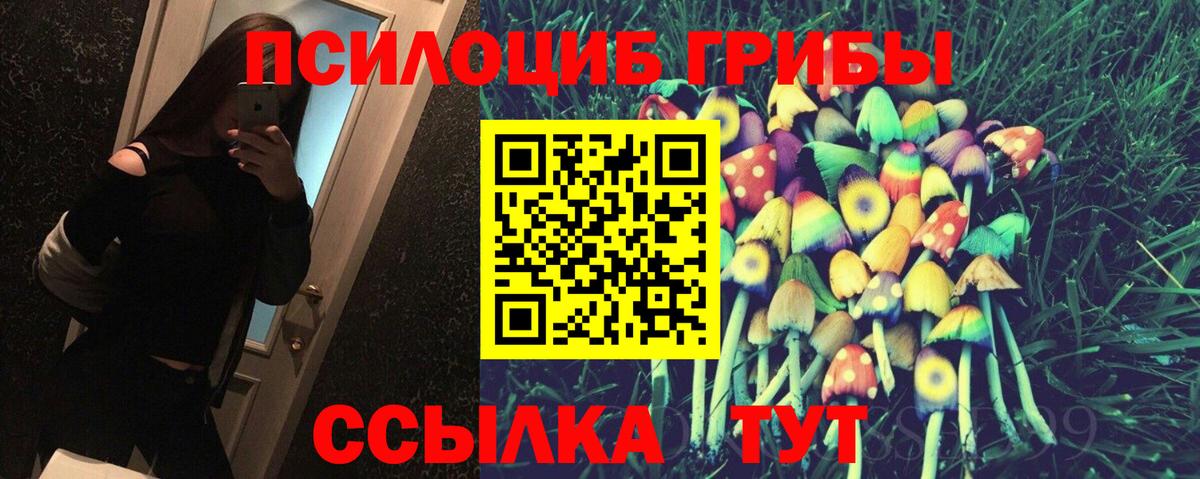 Псилоцибиновые грибы Cubensis  Вход с VPN  Норильск  Псилоцибиновые грибы Magic Shrooms 
